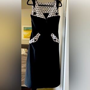 Fab Bettie Page dress!